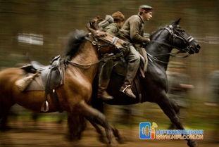 战马影院在线观看免费,免费畅享经典战马巨制